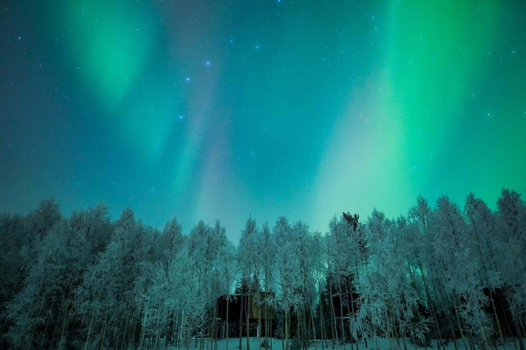 Silver Birch Resort Lapland Rovaniemi Eksteriør bilde